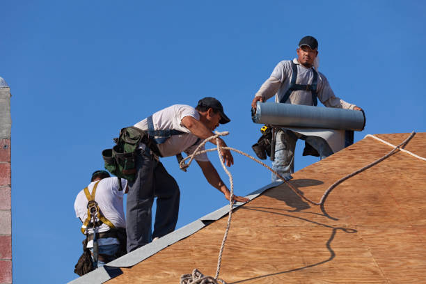 Best Commercial Roofing Services  in Freeland, PA