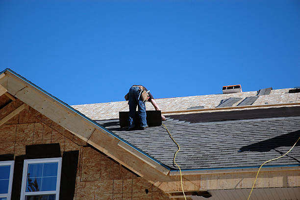 Best Storm Damage Roof Repair  in Freeland, PA