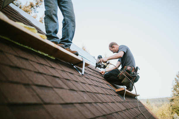 Quick and Trustworthy Emergency Roof Repair Services in Freeland, PA