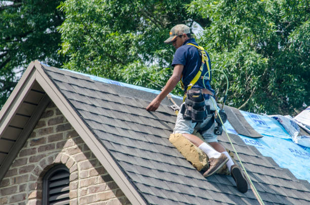 Trusted Freeland, PA Roofing Contractor Experts