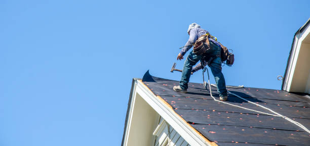 Best Commercial Roofing Services  in Freeland, PA